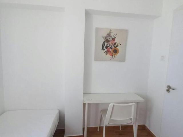 Alquiler 1 Dormitorio Shared Living/Roommate Sevilla Sevilla DS100726388