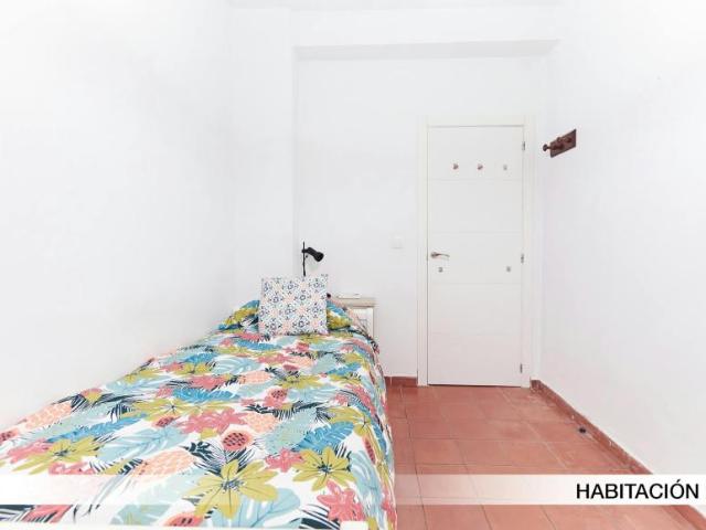 Alquiler 1 Dormitorio Shared Living/Roommate Sevilla Sevilla DS100727134