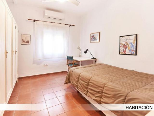 Alquiler 1 Dormitorio Shared Living/Roommate Sevilla Sevilla DS100728554