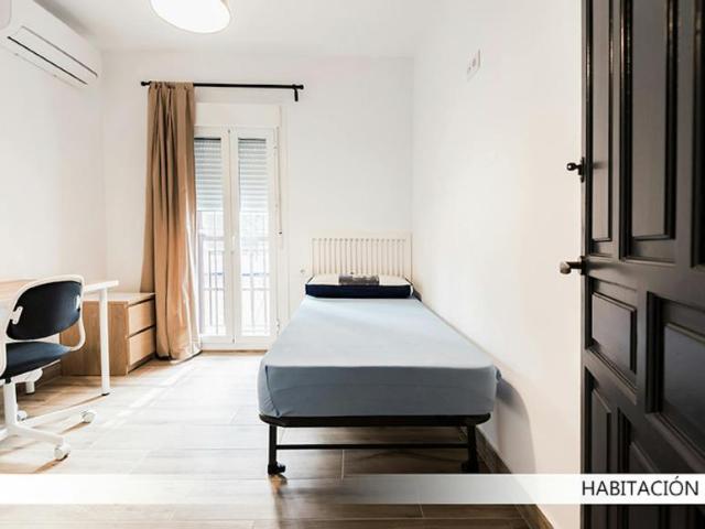 Alquiler 1 Dormitorio Shared Living/Roommate Sevilla Sevilla DS100728566