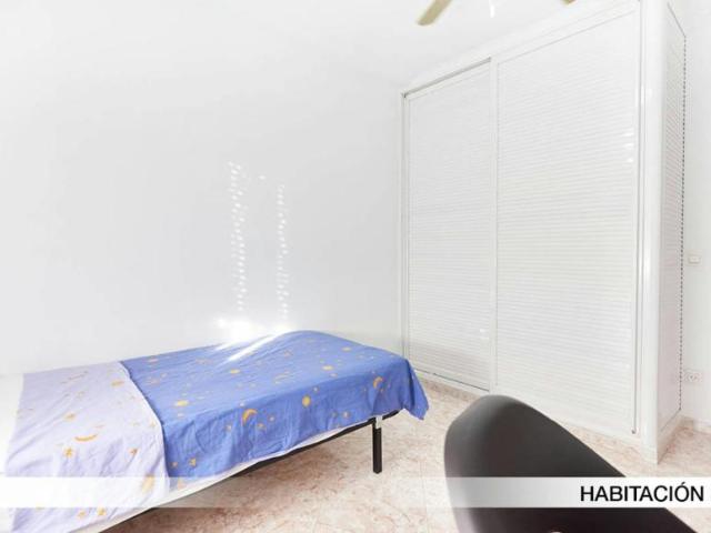 Alquiler 1 Dormitorio Shared Living/Roommate Sevilla Sevilla DS100728587