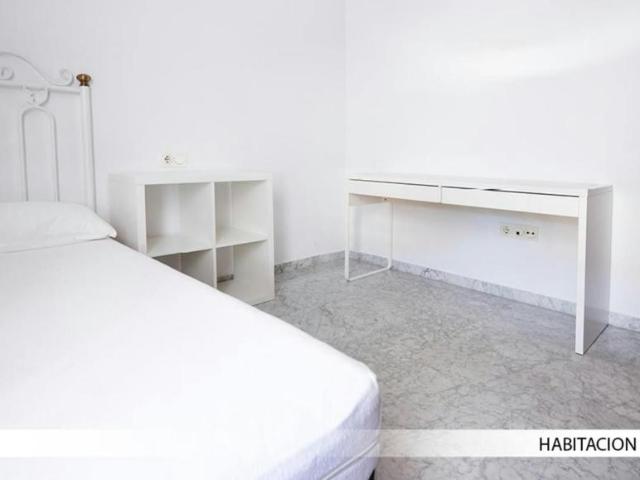 Alquiler 1 Dormitorio Shared Living/Roommate Sevilla Sevilla DS100728535