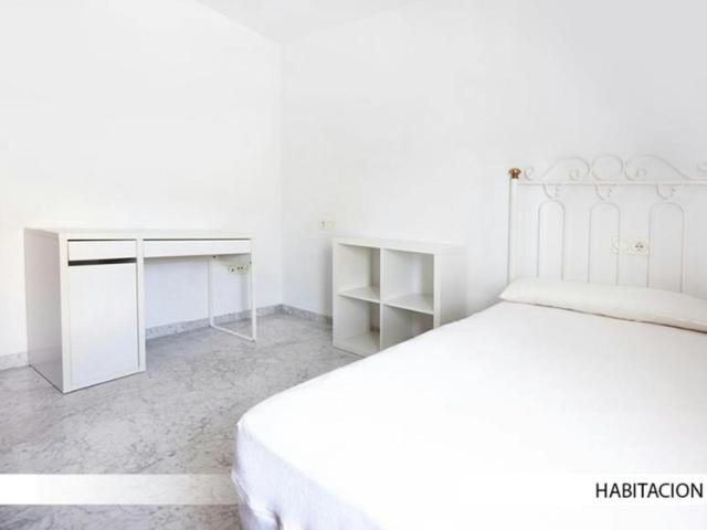 Alquiler 1 Dormitorio Shared Living/Roommate Sevilla Sevilla DS100728539