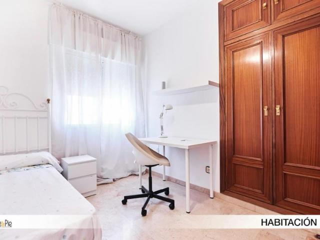 Alquiler 1 Dormitorio Shared Living/Roommate Sevilla Sevilla DS100728626