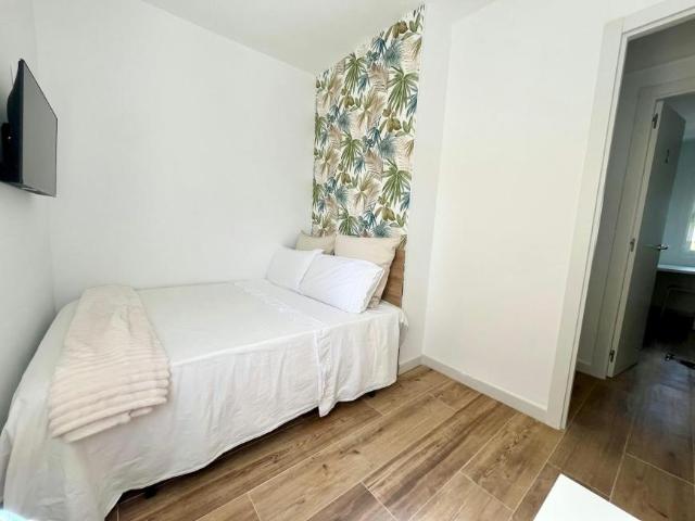 Alquiler 1 Dormitorio Shared Living/Roommate Sevilla Sevilla DS101916598