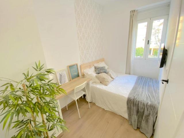 Alquiler 1 Dormitorio Shared Living/Roommate Sevilla Sevilla DS102436342