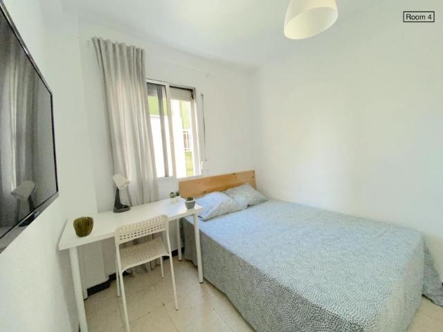 Alquiler 1 Dormitorio Shared Living/Roommate Sevilla Sevilla DS102436387