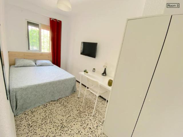 Alquiler 1 Dormitorio Shared Living/Roommate Sevilla Sevilla DS102436385