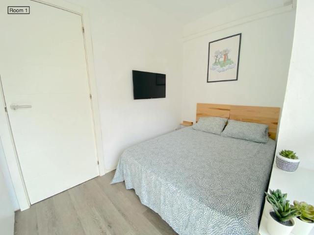 Alquiler 1 Dormitorio Shared Living/Roommate Sevilla Sevilla DS102436396