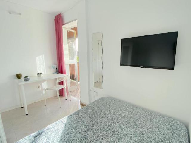 Alquiler 1 Dormitorio Shared Living/Roommate Sevilla Sevilla DS102436399