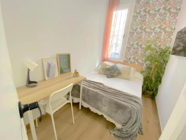 Alquiler 1 Dormitorio Shared Living/Roommate Sevilla Sevilla DS102436336