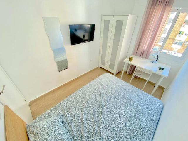 Alquiler 1 Dormitorio Shared Living/Roommate Sevilla Sevilla DS102436403
