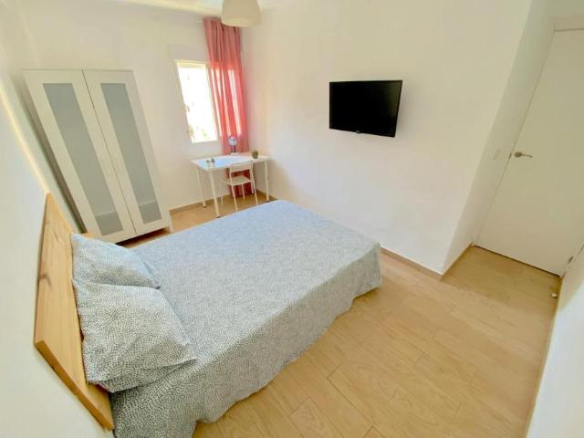 Alquiler 1 Dormitorio Shared Living/Roommate Sevilla Sevilla DS102436401