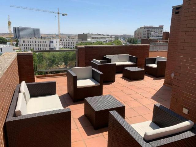 Alquiler 1 Dormitorio Shared Living/Roommate Sevilla Sevilla DS102703391
