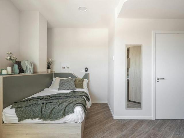Alquiler 1 Dormitorio Shared Living/Roommate Sevilla Sevilla DS102848934