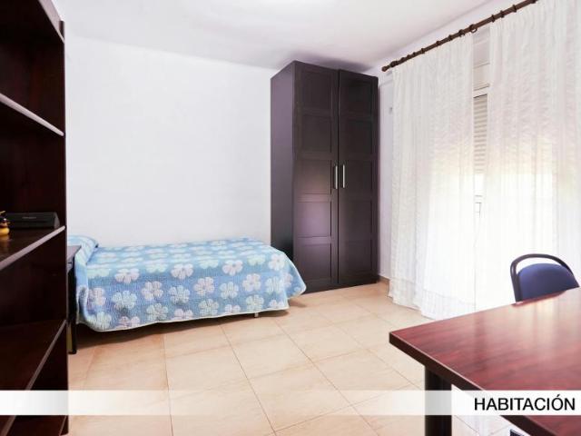 Alquiler 1 Dormitorio Shared Living/Roommate Sevilla Sevilla DS102855023