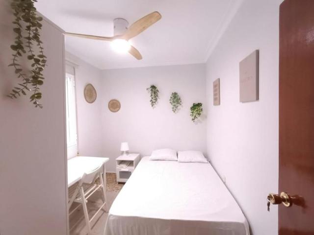 Alquiler 1 Dormitorio Shared Living/Roommate Sevilla Sevilla DS102814265