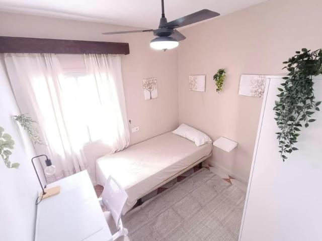 Alquiler 1 Dormitorio Shared Living/Roommate Sevilla Sevilla DS103061782