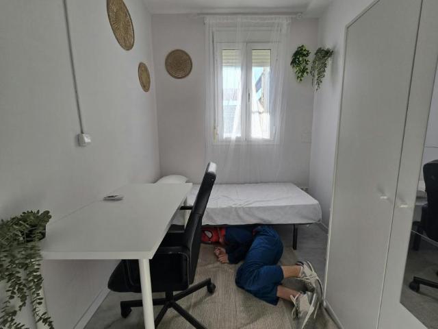 Alquiler 1 Dormitorio Shared Living/Roommate Sevilla Sevilla DS103695936