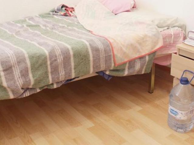 Alquiler 1 Dormitorio Shared Living/Roommate Sevilla Sevilla DS104784758