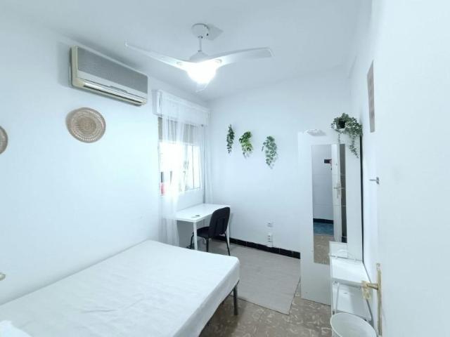 Alquiler 1 Dormitorio Shared Living/Roommate Sevilla Sevilla DS104877825