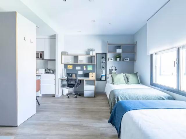 Alquiler 1 Dormitorio Shared Living/Roommate Sevilla Sevilla DS95923275