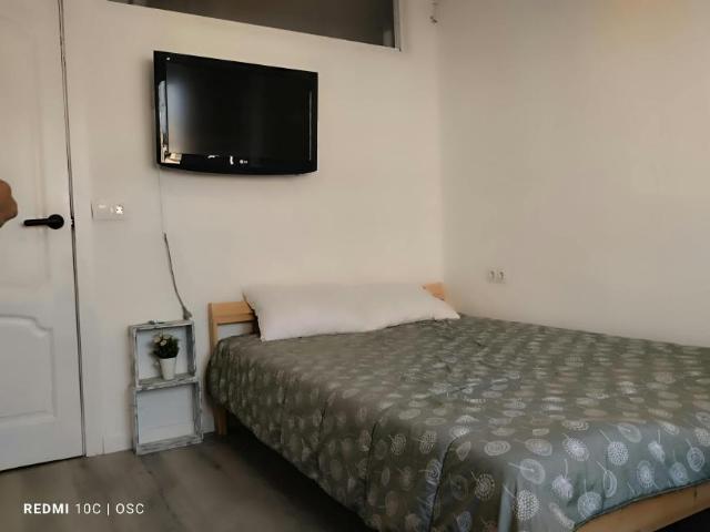 Alquiler 1 Dormitorio Shared Living/Roommate Sevilla Sevilla DS99690032