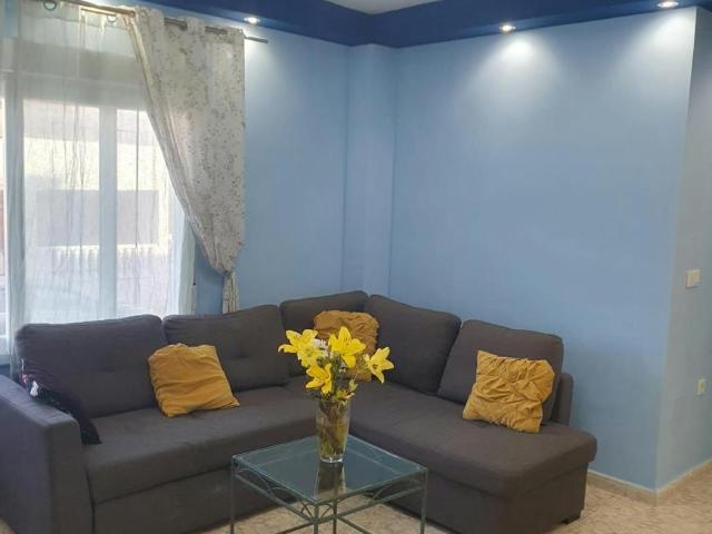 Alquiler 1 Dormitorio Shared Living/Roommate Torrevieja Torrevieja DS104639638
