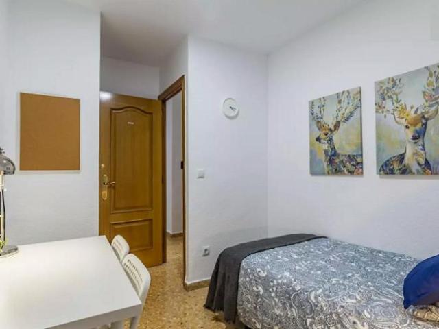 Alquiler 1 Dormitorio Shared Living/Roommate Valencia Valencia DLS100216669