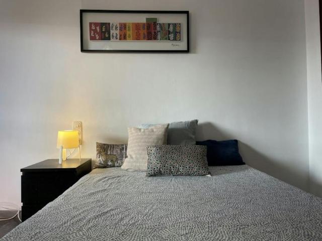 Alquiler 1 Dormitorio Shared Living/Roommate Valencia Valencia DLS100673588