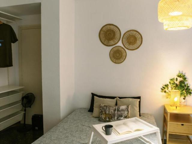 Alquiler 1 Dormitorio Shared Living/Roommate Valencia Valencia DLS100673590