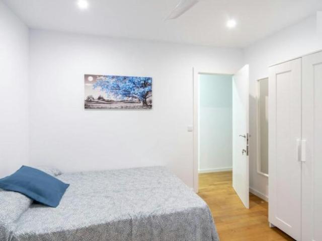 Alquiler 1 Dormitorio Shared Living/Roommate Valencia Valencia DLS100675774