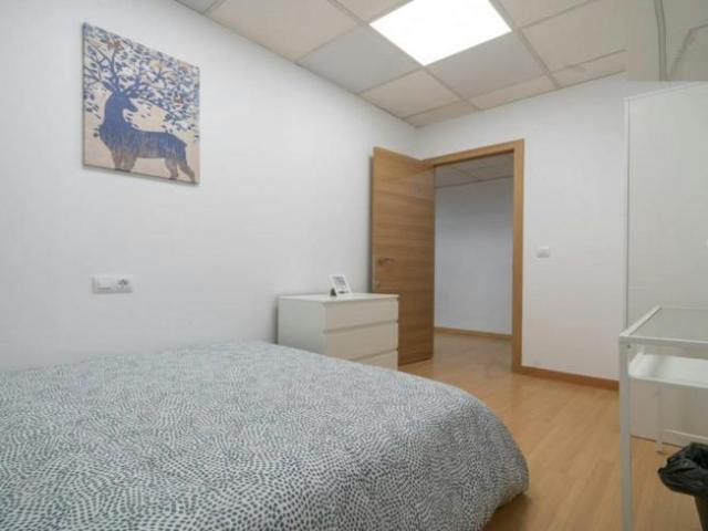 Alquiler 1 Dormitorio Shared Living/Roommate Valencia Valencia DLS100675805