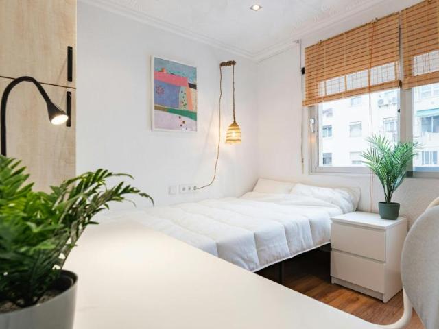 Alquiler 1 Dormitorio Shared Living/Roommate Valencia Valencia DLS100714479