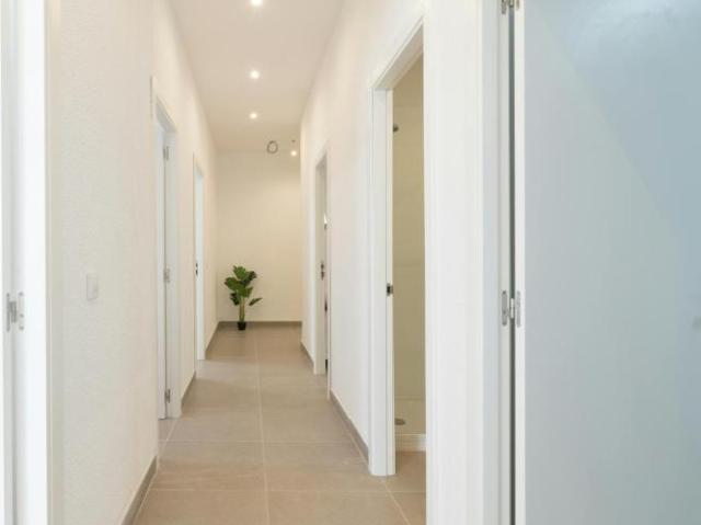 Alquiler 1 Dormitorio Shared Living/Roommate Valencia Valencia DLS100714766