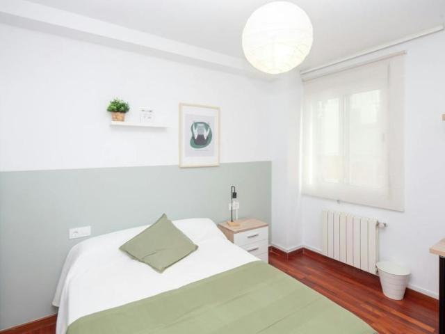 Alquiler 1 Dormitorio Shared Living/Roommate Valencia Valencia DLS100720346