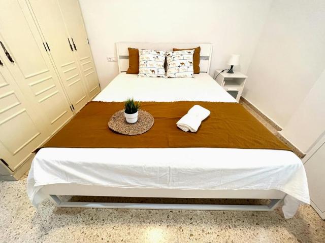 Alquiler 1 Dormitorio Shared Living/Roommate Valencia Valencia DLS100727062