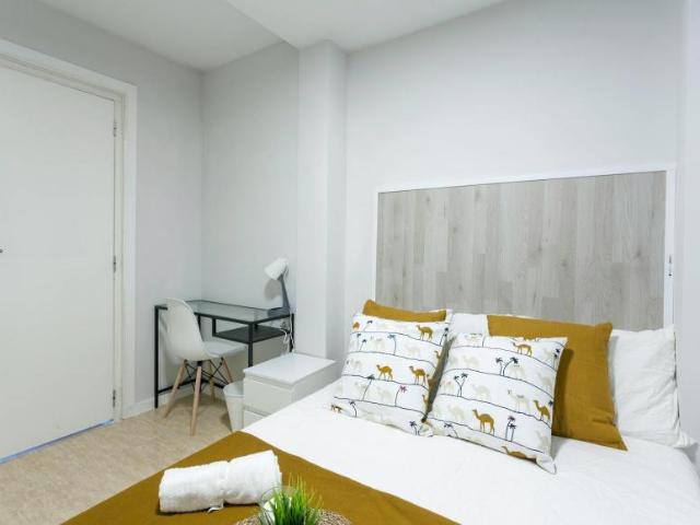 Alquiler 1 Dormitorio Shared Living/Roommate Valencia Valencia DLS100731223