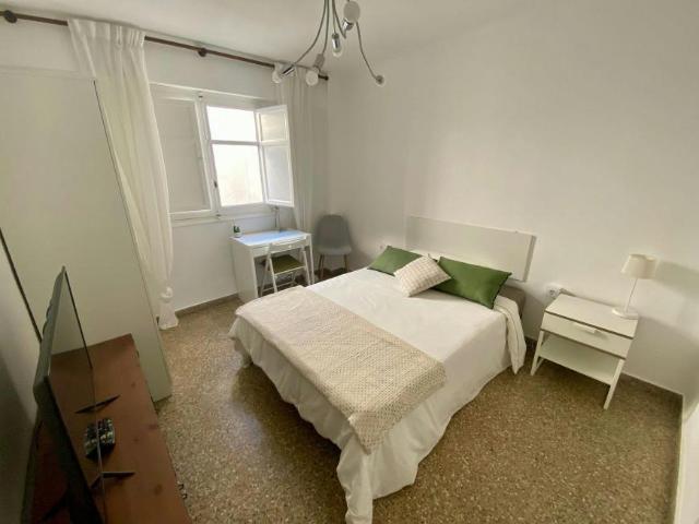 Alquiler 1 Dormitorio Shared Living/Roommate Valencia Valencia DLS100812015