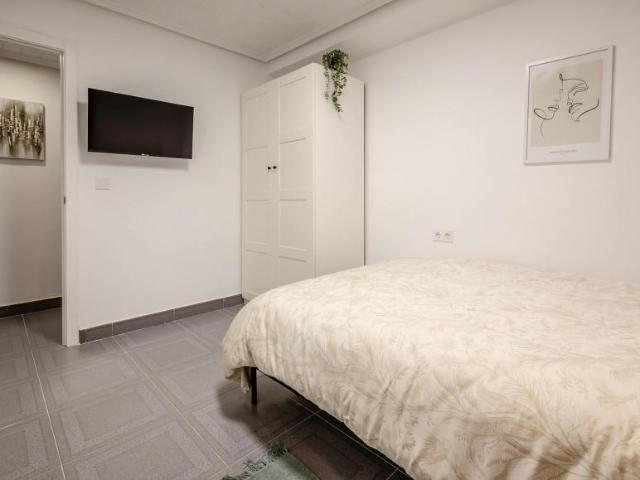 Alquiler 1 Dormitorio Shared Living/Roommate Valencia Valencia DLS101269528
