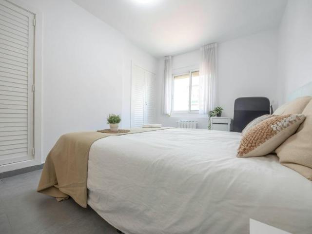 Alquiler 1 Dormitorio Shared Living/Roommate Valencia Valencia DLS101840347
