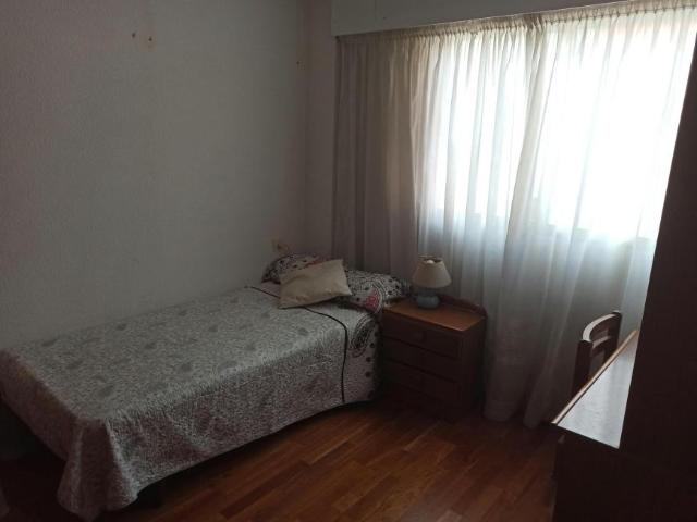 Alquiler 1 Dormitorio Shared Living/Roommate Valencia Valencia DLS101840482
