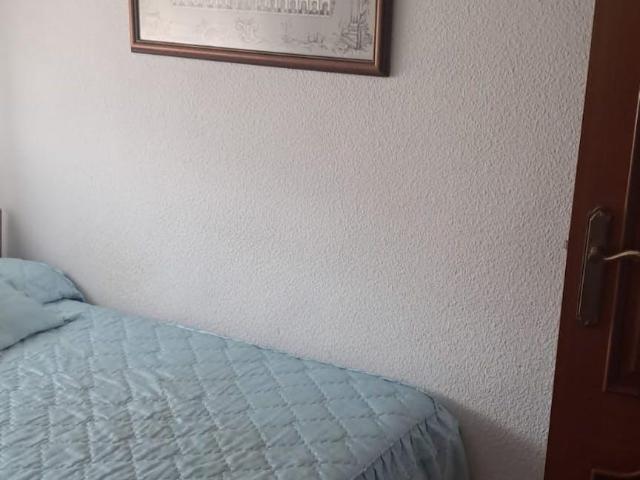 Alquiler 1 Dormitorio Shared Living/Roommate Valencia Valencia DLS101840671