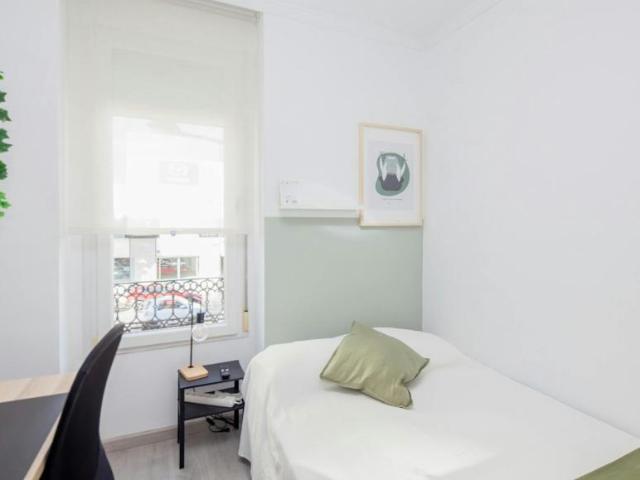 Alquiler 1 Dormitorio Shared Living/Roommate Valencia Valencia DLS101842768