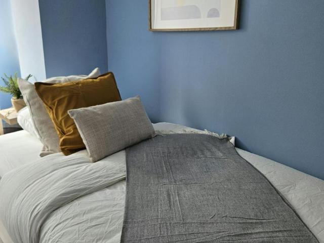 Alquiler 1 Dormitorio Shared Living/Roommate Valencia Valencia DLS101844259