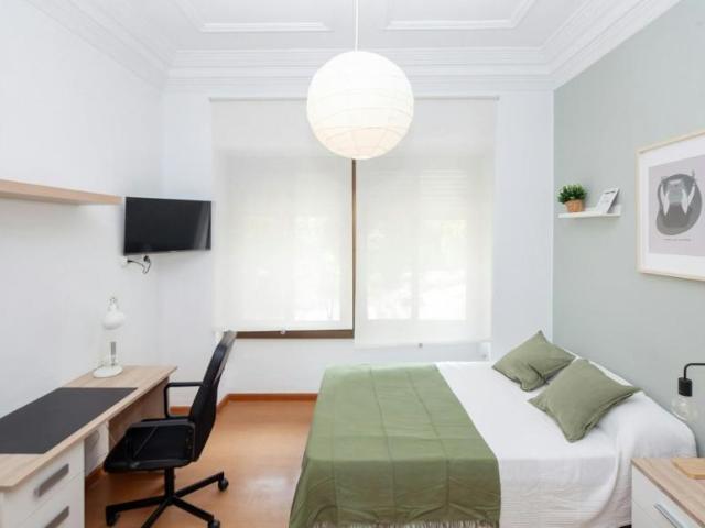 Alquiler 1 Dormitorio Shared Living/Roommate Valencia Valencia DLS101844233