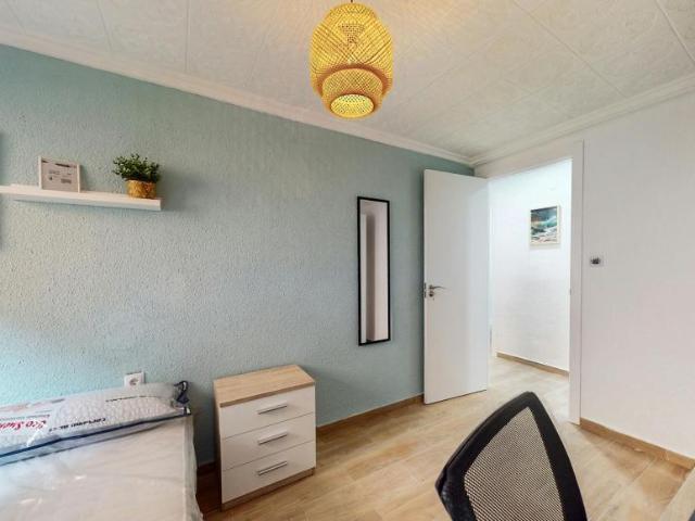 Alquiler 1 Dormitorio Shared Living/Roommate Valencia Valencia DLS101848235