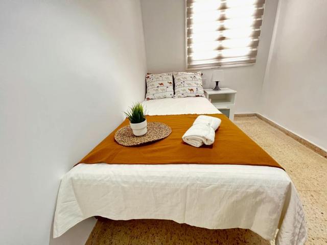 Alquiler 1 Dormitorio Shared Living/Roommate Valencia Valencia DLS101848744