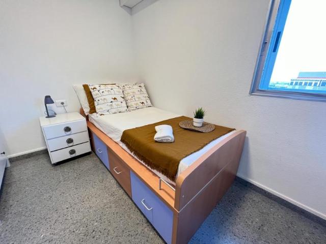 Alquiler 1 Dormitorio Shared Living/Roommate Valencia Valencia DLS101848775