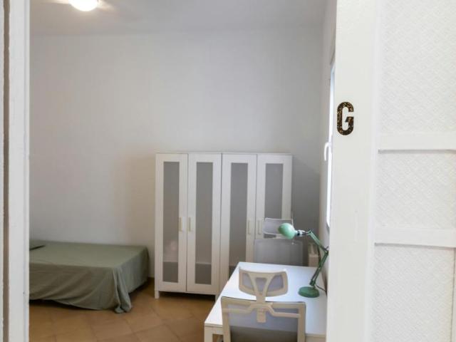Alquiler 1 Dormitorio Shared Living/Roommate Valencia Valencia DLS102205523